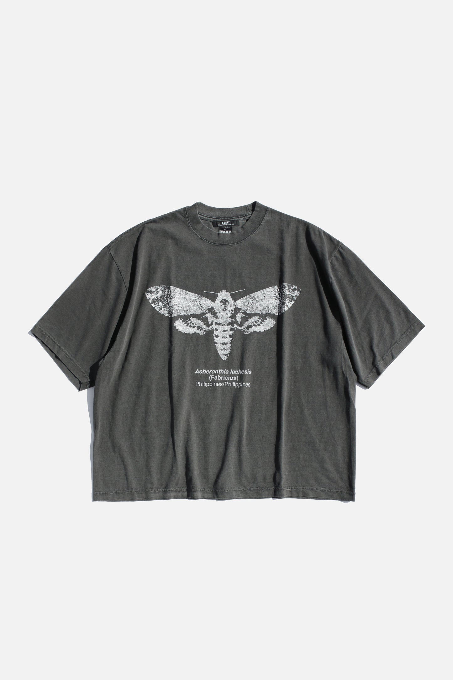 ESSAY PIGMENT DROPSHOULDER T-SHIRT - MOTH