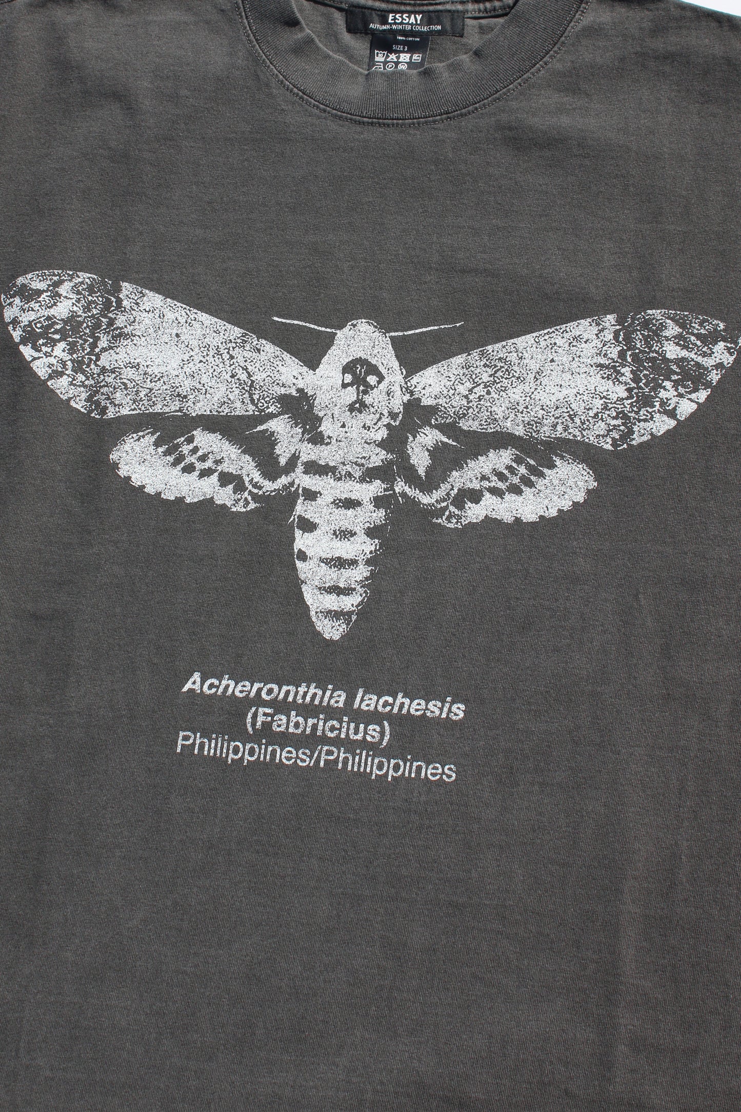 ESSAY PIGMENT DROPSHOULDER T-SHIRT - MOTH