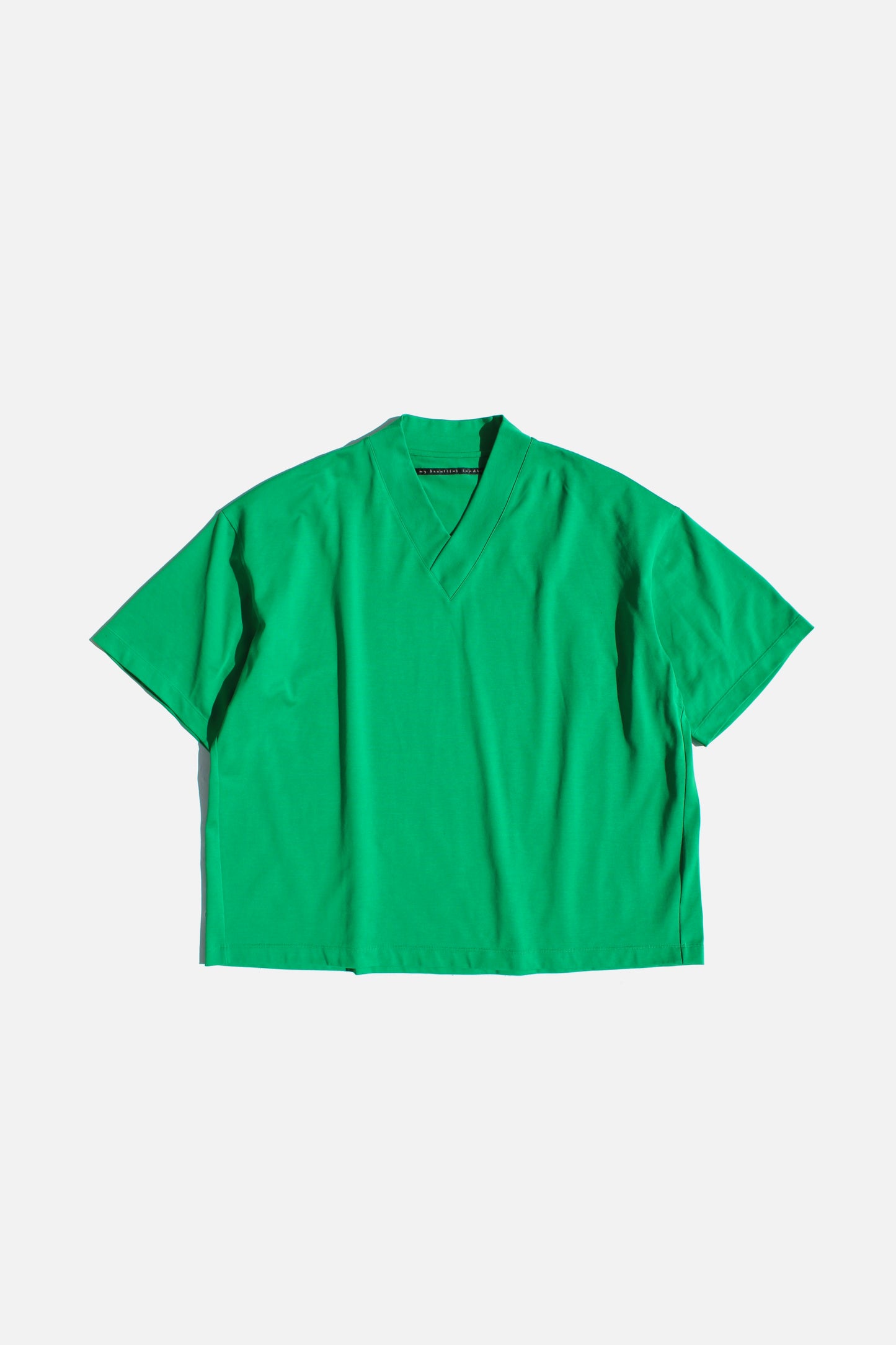 MY BEAUTIFUL LANDLET PARALLELED JERSEY V-NECK BIG TEE - GREEN