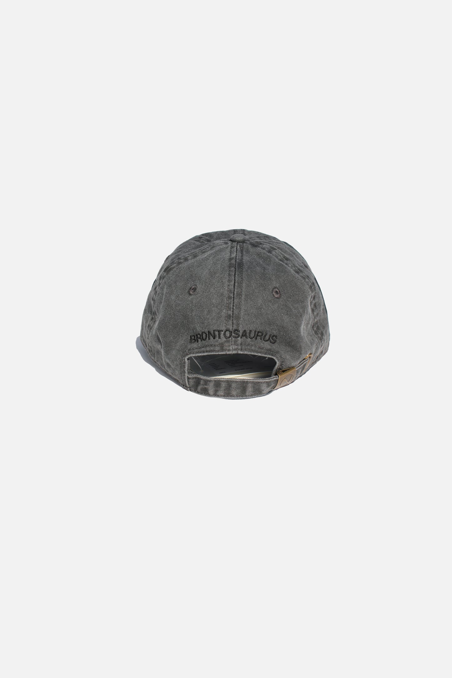 ESSAY SOUVENIR CAP - BRONTOSAURUS
