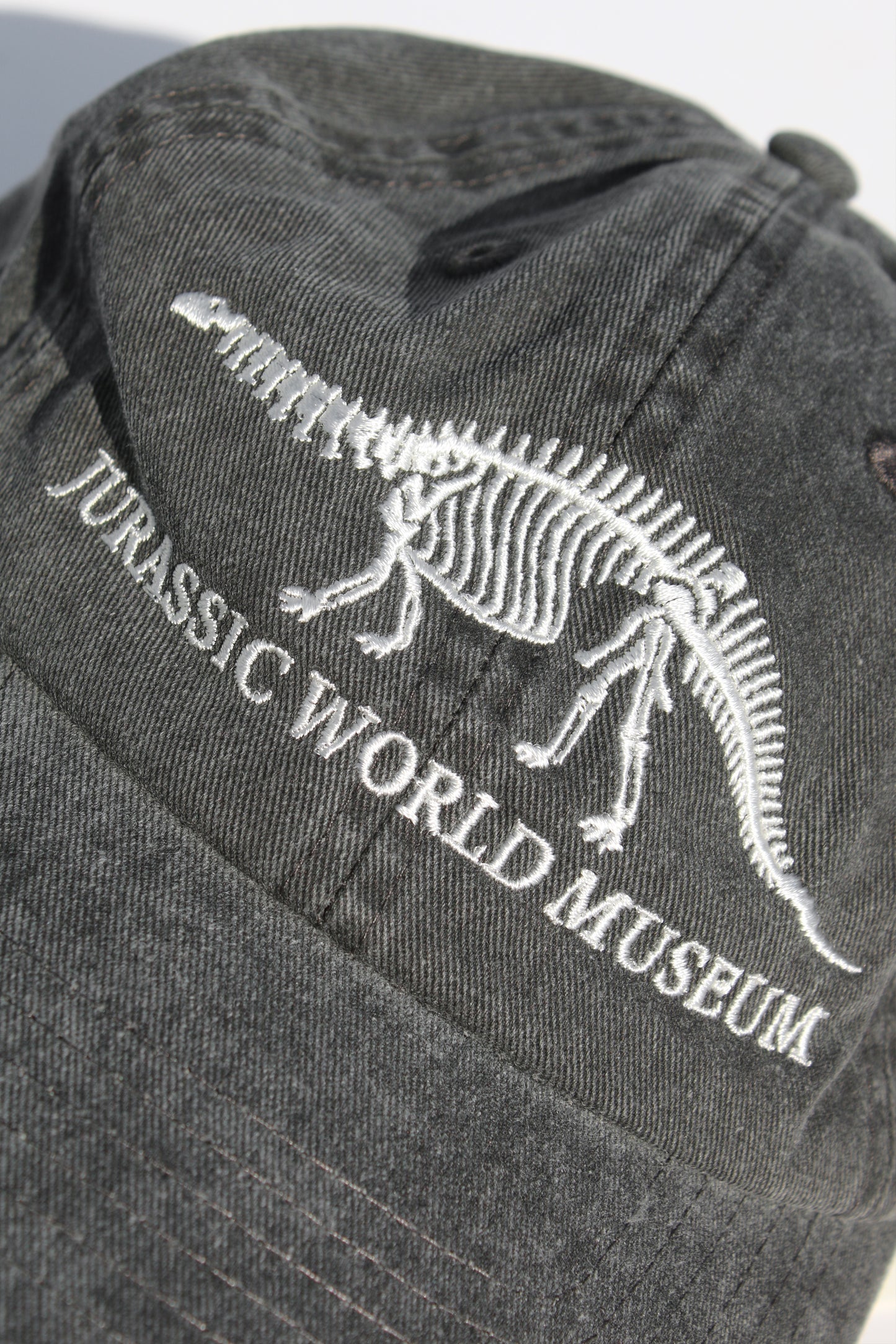 ESSAY SOUVENIR CAP - BRONTOSAURUS
