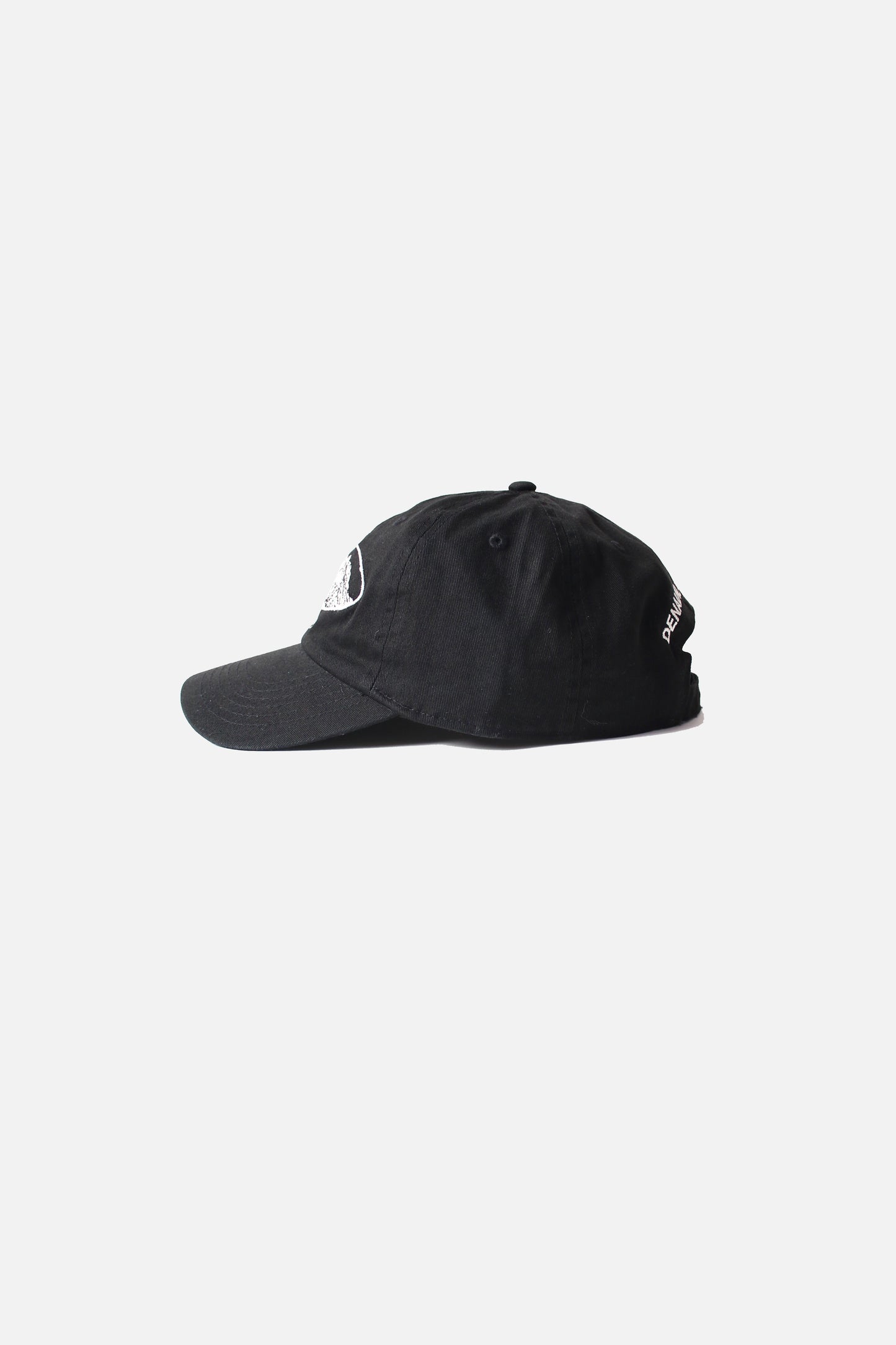 ESSAY SOUVENIR CAP - MT MCKINLEY