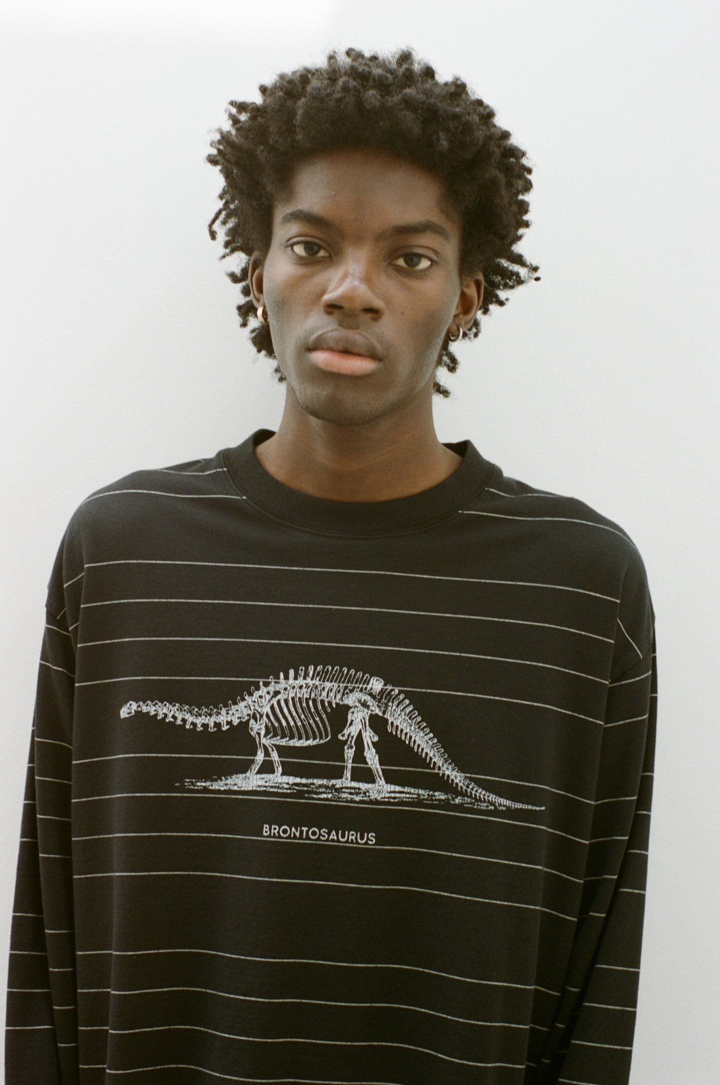 ESSAY ORIGINAL PIN STRIPE L/S T-SHIRT - BRONTOSAURUS
