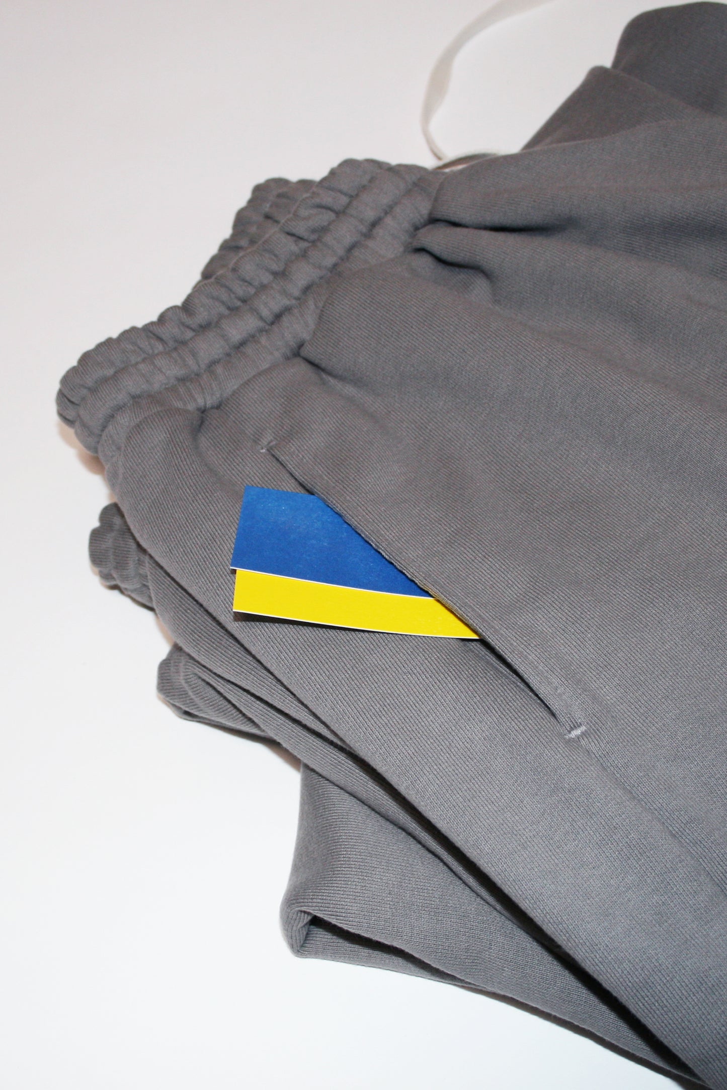 21AW, WM05-SW212052, MY BEAUTIFUL LANDLET TUMBLER BRUSHED BACK PANTS, Grey, Made in Japan, TOYASIDO, Tokyo, 通販, とやしど.