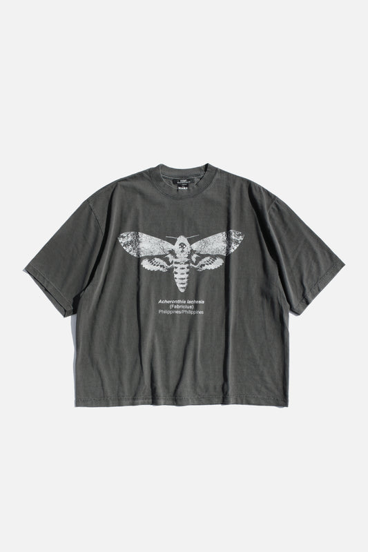 ESSAY PIGMENT DROPSHOULDER T-SHIRT - MOTH