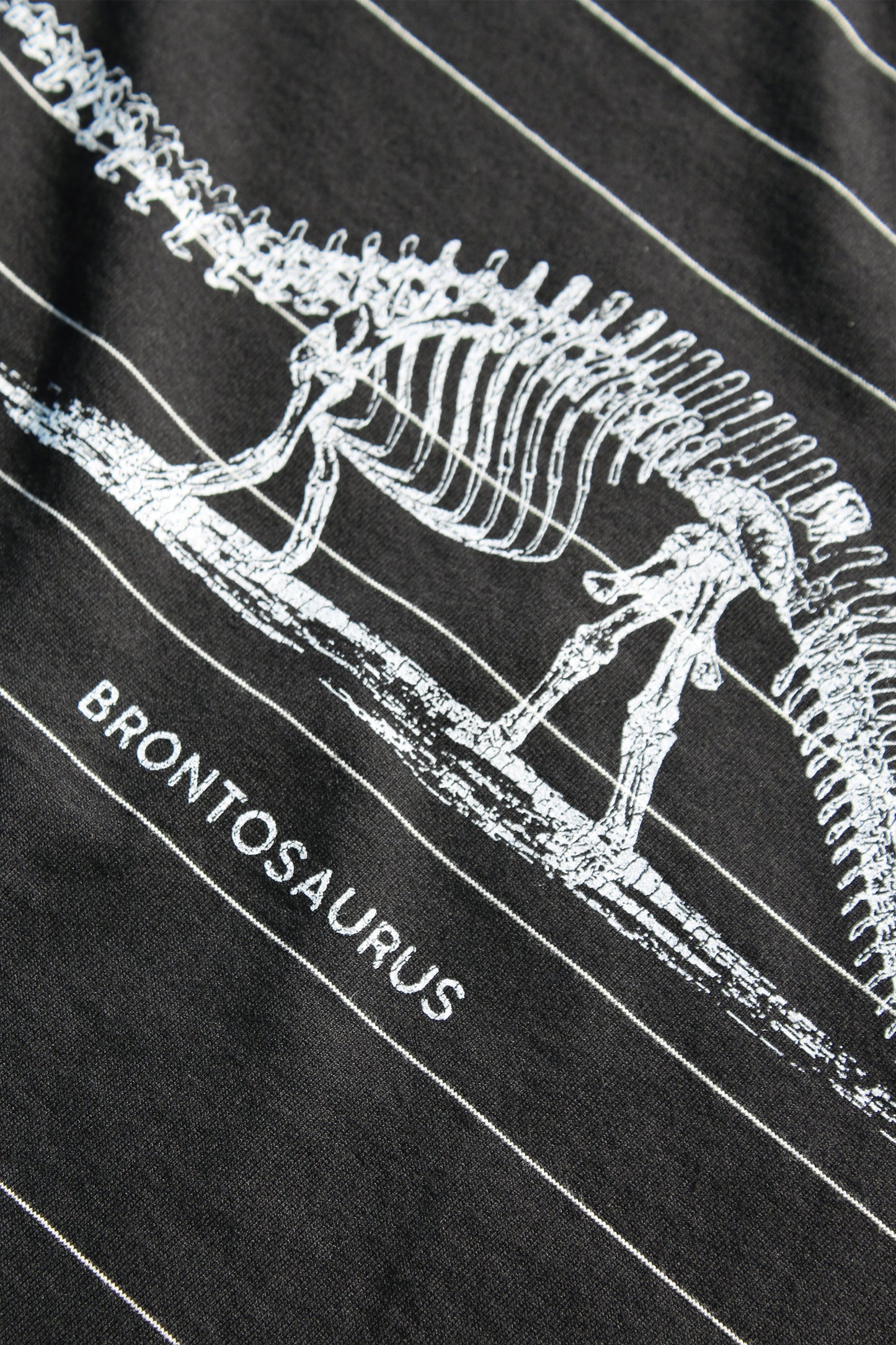 ESSAY ORIGINAL PIN STRIPE L/S T-SHIRT - BRONTOSAURUS