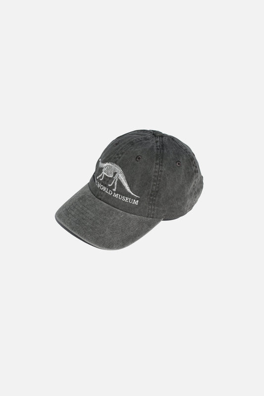 ESSAY SOUVENIR CAP - BRONTOSAURUS